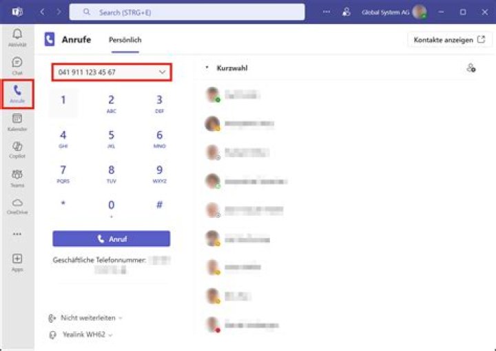 Wie kann man auf Skype alle Teilnehmer sehen?