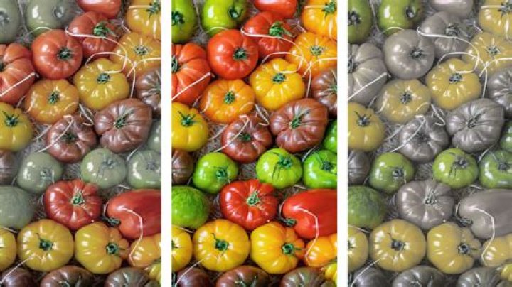 Wie vererbt sich Farbenblindheit?