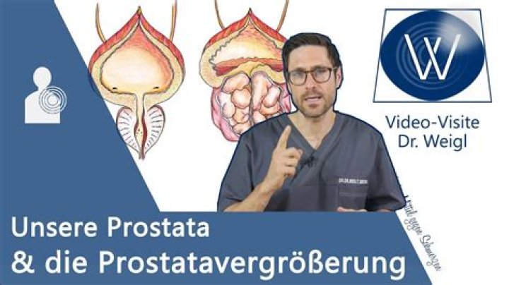 Wo tut die Prostata weh?